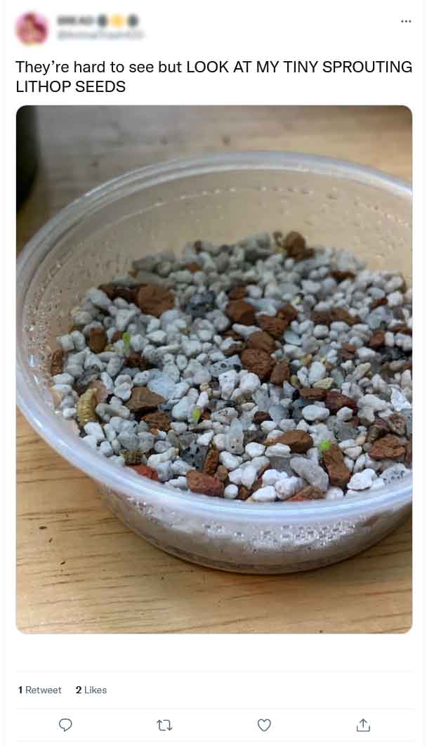 can-you-propagate-lithops-03