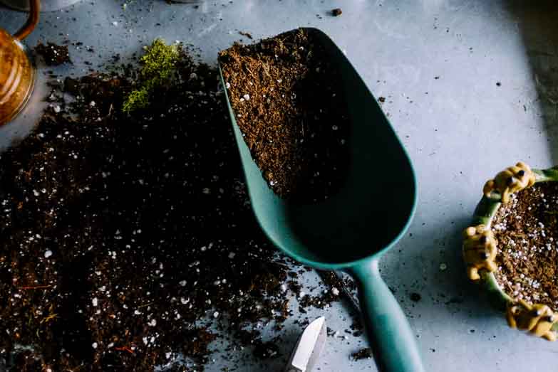 do-i-need-new-potting-soil-every-year-01