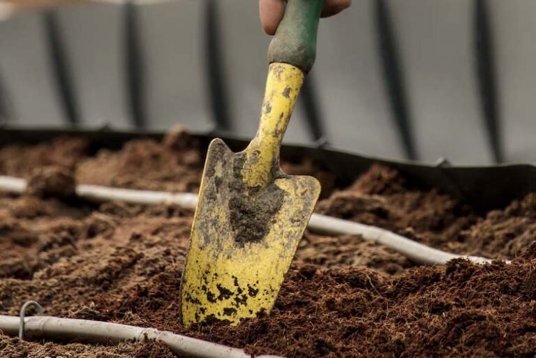 how to sterilize soil