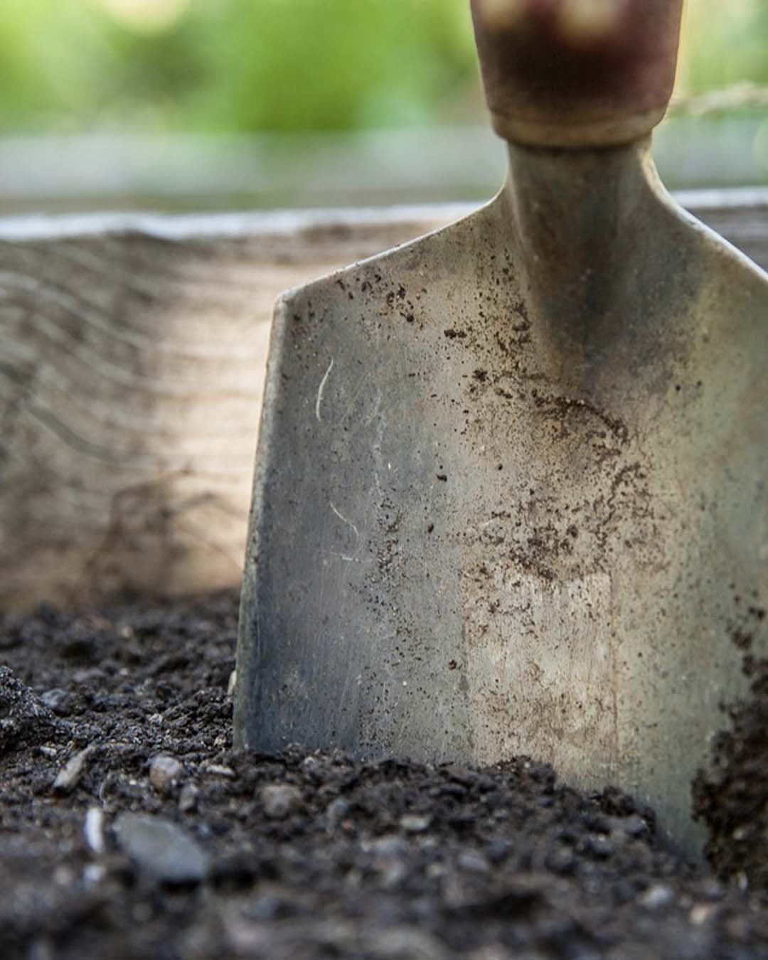 a shovel in soil 